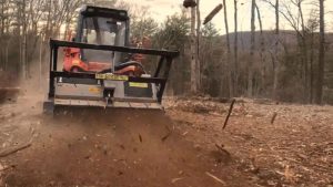 mulching for land clearing tree removal