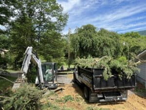 Land Clearing for Warren County