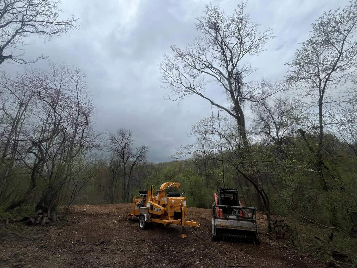 land clearing vehicles on hill with trees