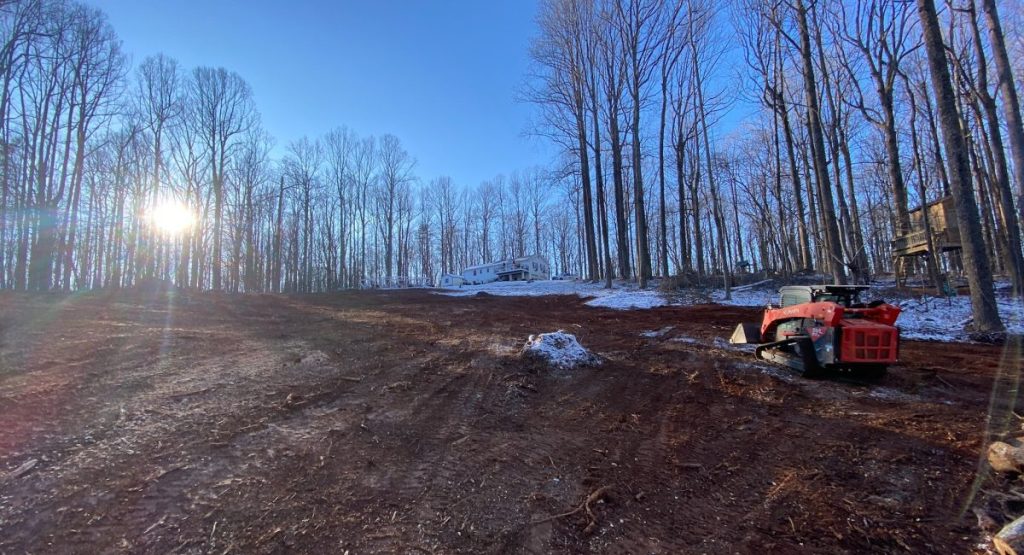 land clearing for future projects