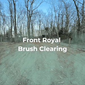 Front Royal Brush Clearing