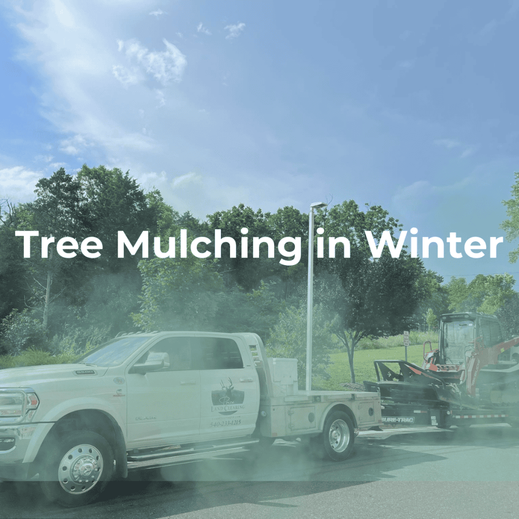 Tree Mulching in Winter