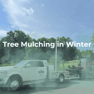 Tree Mulching in Winter