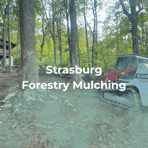 Strasburg Forestry Mulching