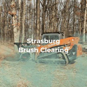 Strasburg Brush Clearing