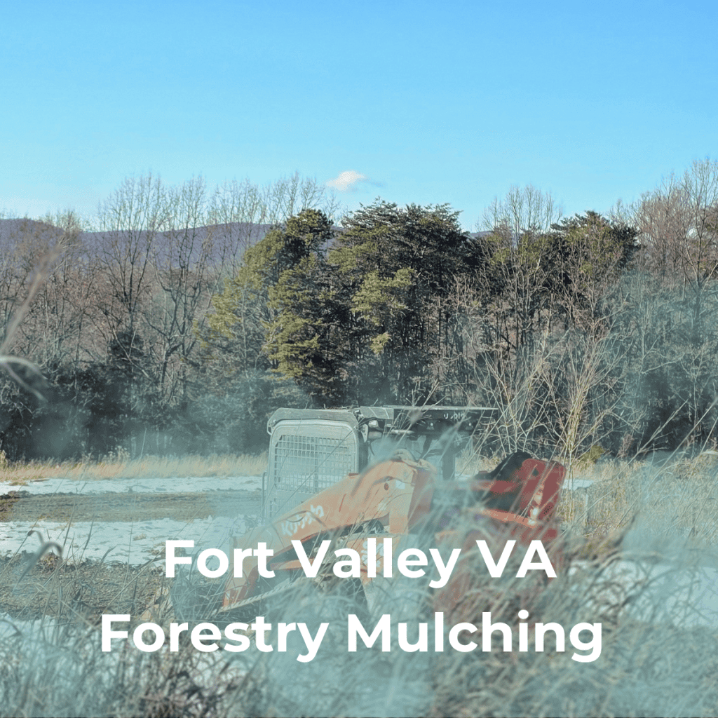 Fort Valley VA Forestry Mulching