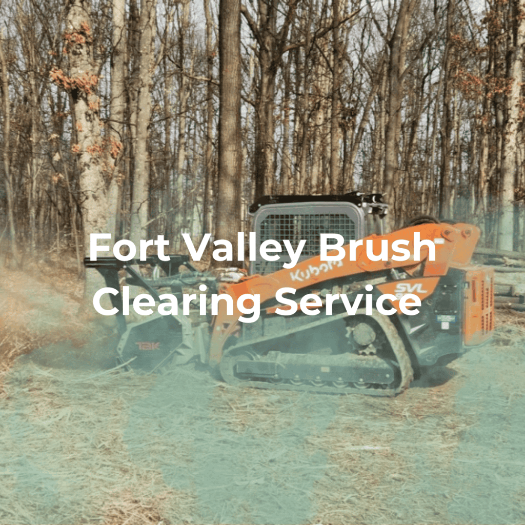 Fort Valley Brush Clearing Service