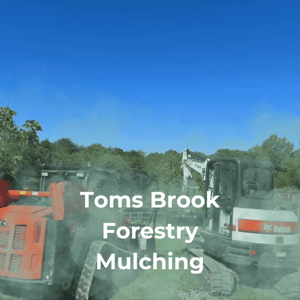 Toms Brook Forestry Mulching