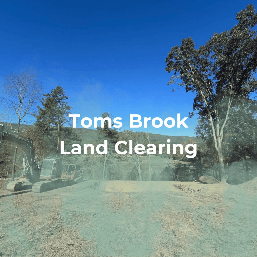 Toms Brook Land Clearing