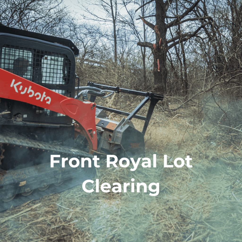 Front Royal Lot Clearing